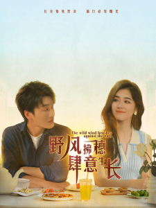 野风拂穗肆意生长（48集）-免费短剧