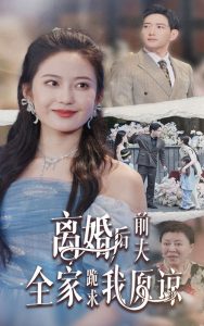 离婚后前夫全家跪求我原谅（30集）-免费短剧
