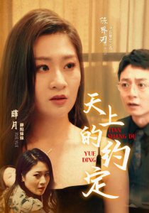 天上的约定（24集）-免费短剧