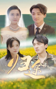 归途（52集）-免费短剧