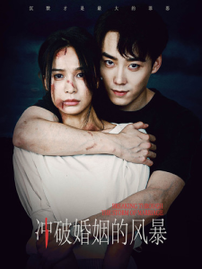 冲破婚姻的风暴（29集）-免费短剧