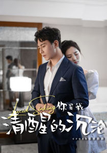 你是我清醒的沉沦（48集）-免费短剧