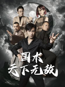 国术天下无敌（62集）-免费短剧
