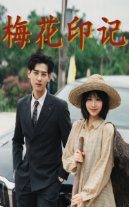 梅花印记（48集）-免费短剧