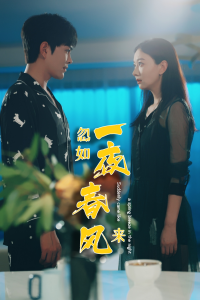 忽如一夜春风来（28集）徐江帅-免费短剧