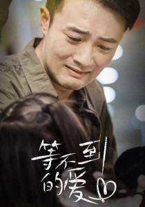 等不到的爱（40集）-免费短剧