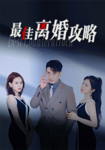 最佳离婚攻略（31集）-免费短剧