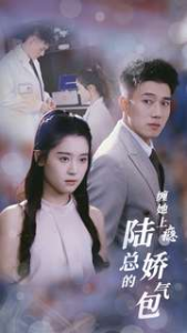 缠她上瘾陆总的娇气包（80集）翟一莹 黄文博-免费短剧