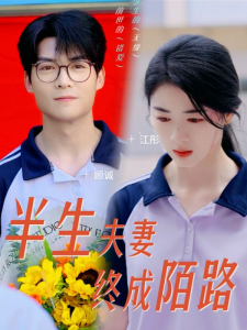 半生夫妻终成陌路（60集）-免费短剧