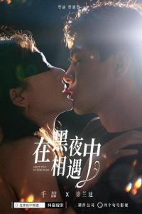 在黑夜中相遇（32集）-免费短剧
