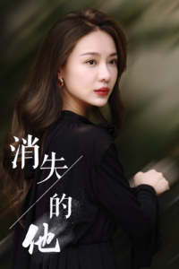 消失的他（30集）-免费短剧