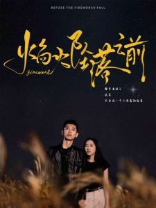 焰火坠落之前（99集）辛润茜-免费短剧