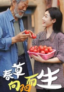 春草向阳而生（53集）-免费短剧