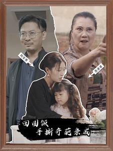 团圆饭手撕奇葩亲戚（40集）-免费短剧