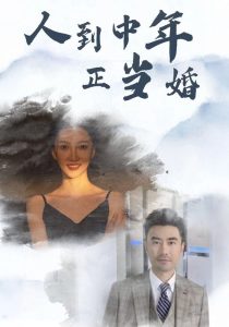 人到中年正当婚(81集)-免费短剧