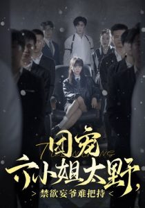 团宠六小姐太野,禁欲妄爷难把持(90集)张北淅-免费短剧