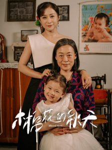 木棉花的秋天（60集）-免费短剧