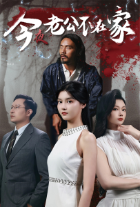 今夜老公不在家（44集）-免费短剧