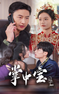 掌中宝（31集）-免费短剧