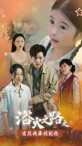 浴火之路之宝贝我要找到你（32集）-免费短剧