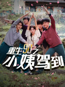重生90之小姨驾到（80集）-免费短剧