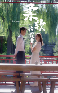 柔软的力量（80集）-免费短剧