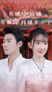 天赐小红娘总裁你找错夫人了(65集)赵振栋-免费短剧