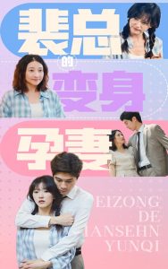 裴总的变身孕妻(60集)-免费短剧