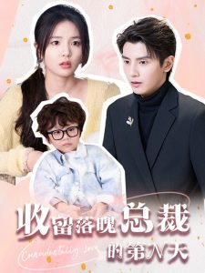 收留落魄总裁的第N天（60集）何聪睿＆张许晗-免费短剧