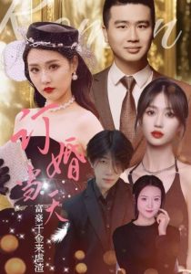 订婚当天富豪千金来虐渣（30集）-免费短剧