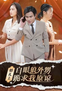 婚礼上白眼狼外甥跪求我原谅(35集)-免费短剧