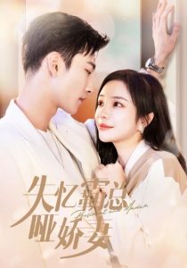 失忆霸总哑娇妻（40集）姚冠宇&田熙雯-免费短剧