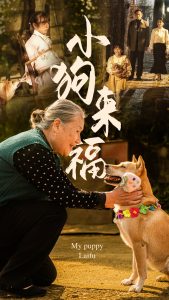 小狗来福(30集)-免费短剧