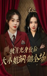 被冒充身份后大小姐飒翻全场（35集）墨凝-免费短剧