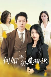 何如当初莫相识（36集）彭羽-免费短剧