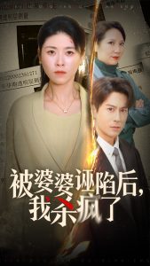 被婆婆诬陷后我杀疯了（30集）诸玲颖-免费短剧
