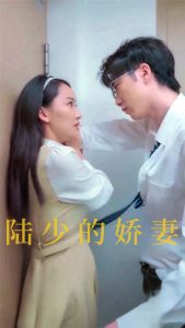 陆少的娇妻（100集）-免费短剧