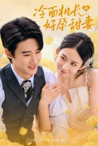 冷面机长的好孕甜妻(78集)赵振栋&李悦暄-免费短剧