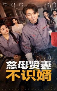 慈母贤妻不识婿(45集)-免费短剧