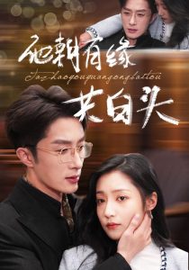 他朝有缘共白头(63集)叶庭&阚梓艺-免费短剧