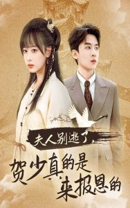 夫人别逃了贺少真的是来报恩的(63集)-免费短剧