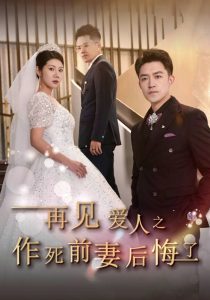 再见爱人之作死前妻后悔了（30集）刘月涛&汪天予-免费短剧