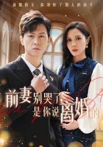 前妻别哭了是你说离婚的(42集)-免费短剧