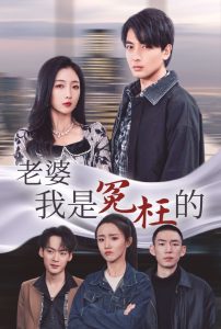 老婆我是冤枉的(31集)-免费短剧