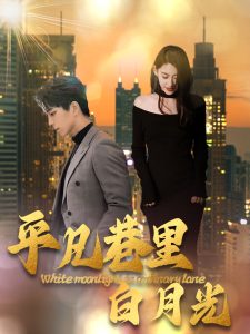 平凡巷里白月光(33集)-免费短剧