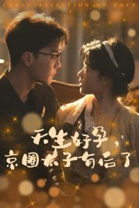 天生好孕京圈太子有后了&你与光共落人间(30集)杜亚飞-免费短剧