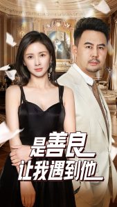 是善良让我遇到他(30集)-免费短剧