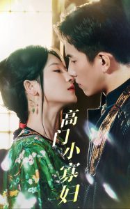 高门小寡妇(60集)-免费短剧