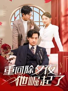 重回除夕夜他崛起了（89集）-免费短剧