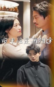 命中注定再相逢(39集)-免费短剧